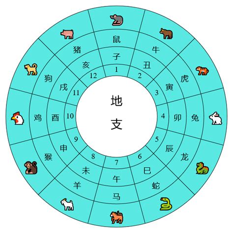 天干地支表查詢|天幹地支